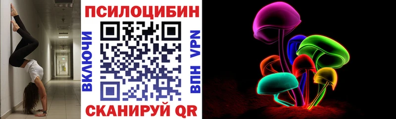 хочу   Похвистнево  Галлюциногенные грибы мицелий 